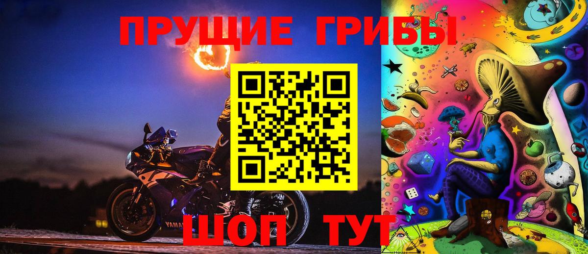 Кулебаки  магазин    Галлюциногенные грибы Psilocybine cubensis  Вход с VPN  Псилоцибиновые грибы Psilocybe 
