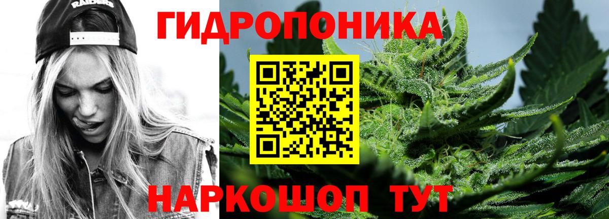 МАРИХУАНА конопля Кулебаки